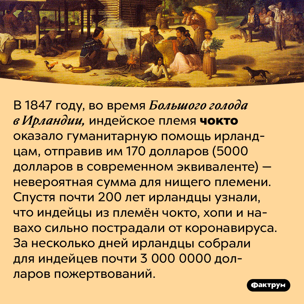 Ирландцы и племя чокто не бросают друг-друга в беде. В 1847 году, во время Большого голода в Ирландии, индейское племя чокто оказало гуманитарную помощь ирландцам, отправив им 170 долларов (5000 долларов в современном эквиваленте) — невероятная сумма для нищего племени. Спустя почти 200 лет ирландцы узнали, что индейцы из племён чокто, хопи и навахо сильно пострадали от коронавируса. За несколько дней ирландцы собрали для индейцев почти 3 000 0000 долларов пожертвований.
