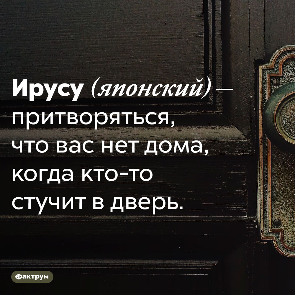 У японцев есть особое слово для случаев, когда человек притворяется, что его нет дома. Ирусу (японский) — притворяться, что вас нет дома, когда кто-то стучит в дверь. 