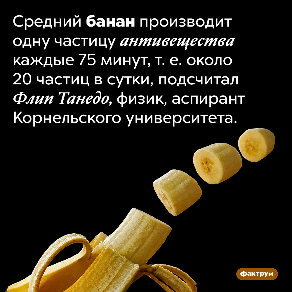 За сутки банан испускает около 20 частиц антивещества. Средний банан производит одну частицу антивещества каждые 75 минут, т. е. около 20 частиц в сутки, подсчитал Флип Танедо, физик, аспирант Корнельского университета.