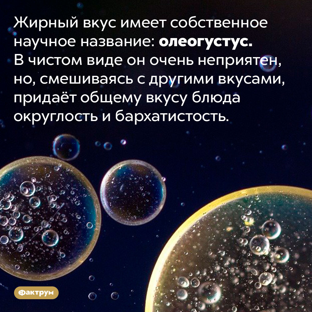 Жирный вкус называется олеогустус. Жирный вкус имеет собственное научное название: олеогустус. В чистом виде он очень неприятен, но, смешиваясь с другими вкусами, придаёт общему вкусу блюда округлость и бархатистость.
