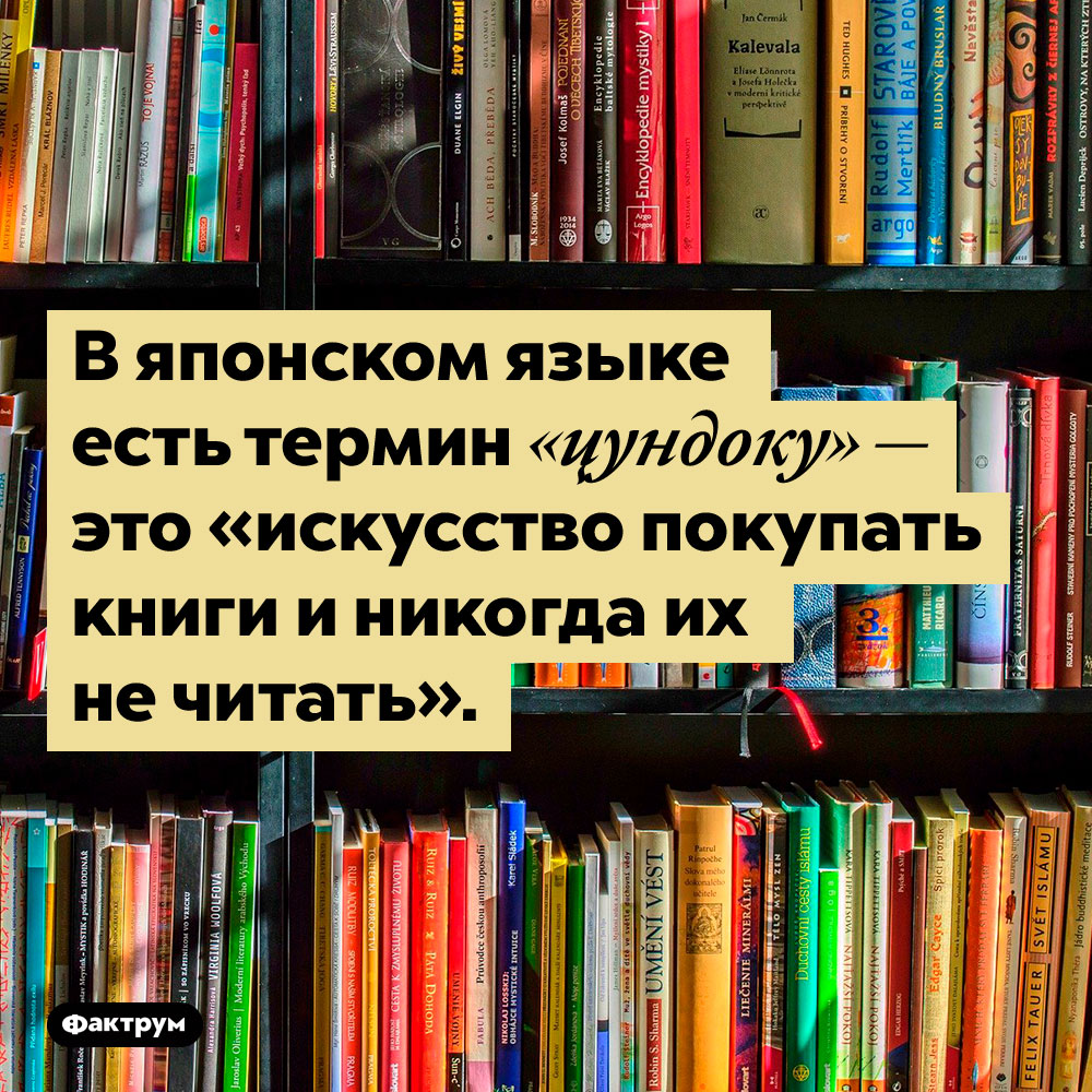 В японском языке есть специальный термин для непрочитанных книг. В японском языке есть термин «цундоку» — это «искусство покупать книги и никогда их не читать».