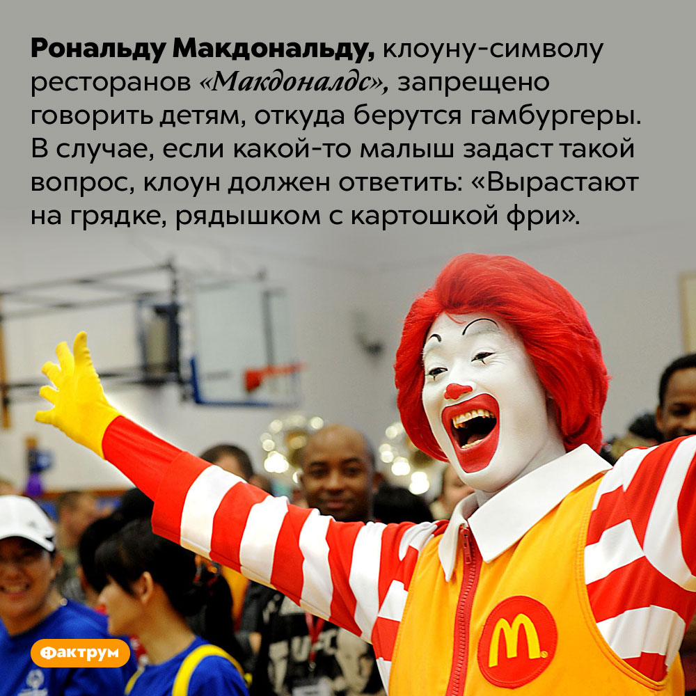 Рональд Макдональд обязан говорить детям, что гамбургеры растут на грядках. Рональду Макдональду, клоуну-символу ресторанов «Макдоналдс», запрещено говорить детям, откуда берутся гамбургеры. В случае, если какой-то малыш задаст такой вопрос, клоун должен ответить: «Вырастают на грядке, рядышком с картошкой фри».
