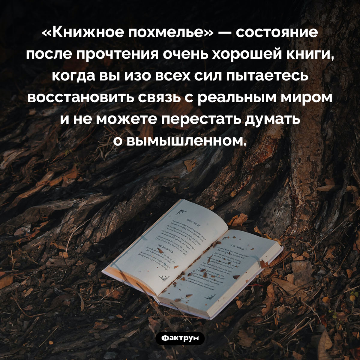 После хороших книг может возникать «книжное похмелье». «Книжное похмелье» — состояние после прочтения очень хорошей книги, когда вы изо всех сил пытаетесь восстановить связь с реальным миром и не можете перестать думать о вымышленном.