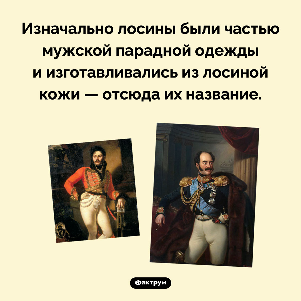 Лосины получили название в честь лосей. Изначально лосины были частью мужской парадной одежды и изготавливались из лосиной кожи — отсюда их название.