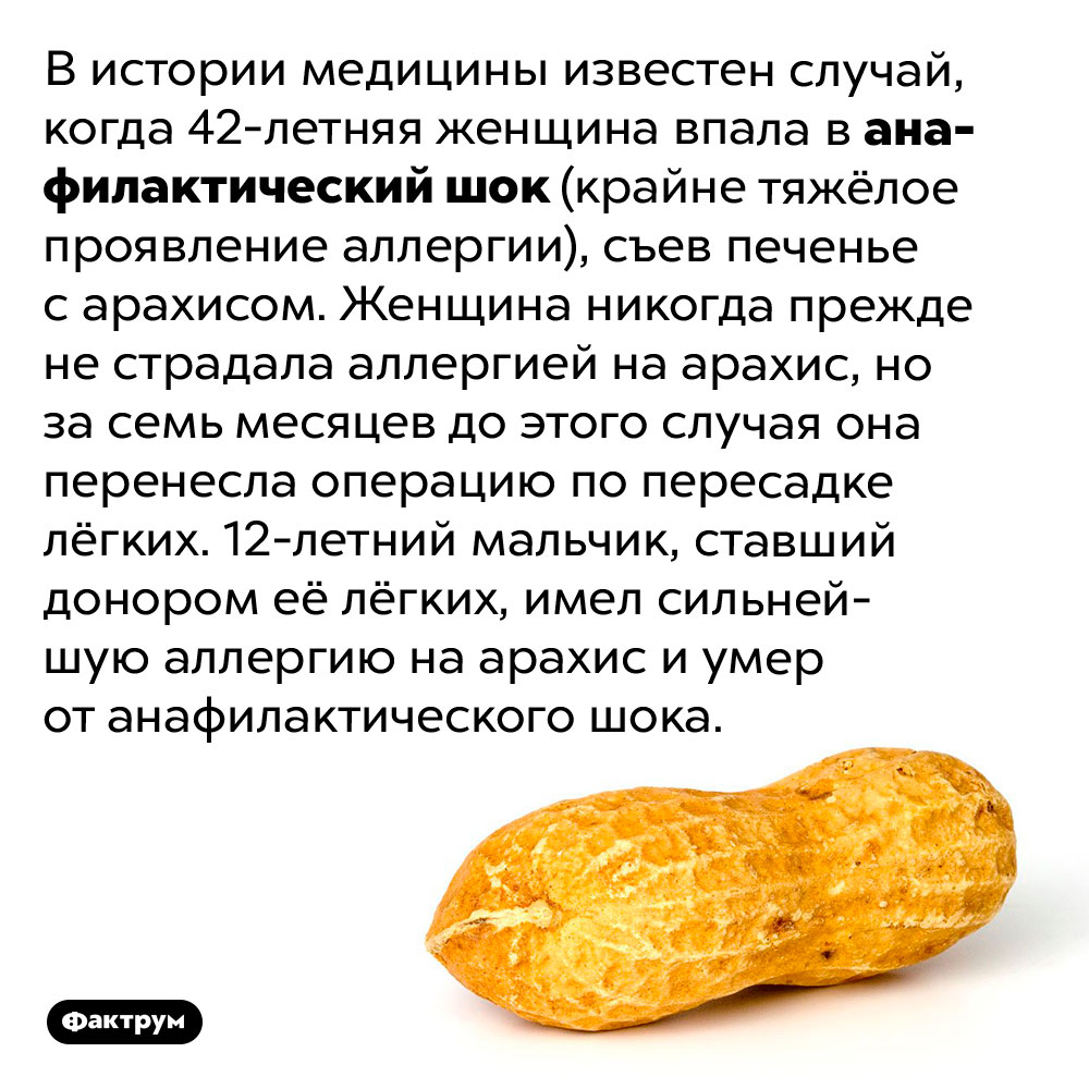 42-летней женщине вместе с пересадкой донорских лёгких пересадили аллергию донора. В истории медицины известен случай, когда 42-летняя женщина впала в анафилактический шок (крайне тяжёлое проявление аллергии), съев печенье с арахисом. Женщина никогда прежде не страдала аллергией на арахис, но за семь месяцев до этого случая она перенесла операцию по пересадке лёгких. 12-летний мальчик, ставший донором её лёгких, имел сильнейшую аллергию на арахис и умер от анафилактического шока.