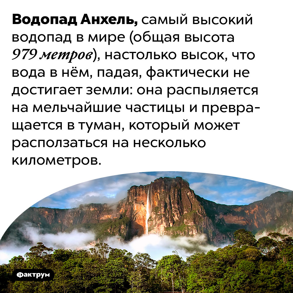 Водопад Анхель настолько высок, что вода в нём превращается в туман прежде, чем достигает земли. Водопад Анхель, самый высокий водопад в мире (общая высота 979 метров), настолько высок, что вода в нём, падая, фактически не достигает земли: она распыляется на мельчайшие частицы и превращается в туман, который может расползаться на несколько километров.