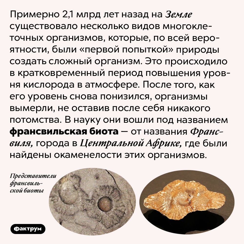 2,1 млрд лет назад на Земле жили многоклеточные организмы, которые затем бесследно исчезли. Примерно 2,1 млрд лет назад на Земле существовало несколько видов многоклеточных организмов, которые, по всей вероятности, были «первой попыткой» природы создать сложный организм. Это происходило в кратковременный период повышения уровня кислорода в атмосфере. После того, как его уровень снова понизился, организмы вымерли, не оставив после себя никакого потомства. В науку они вошли под названием франсвильская биота — от названия Франсвиля, города в Центральной Африке, где были найдены окаменелости этих организмов.