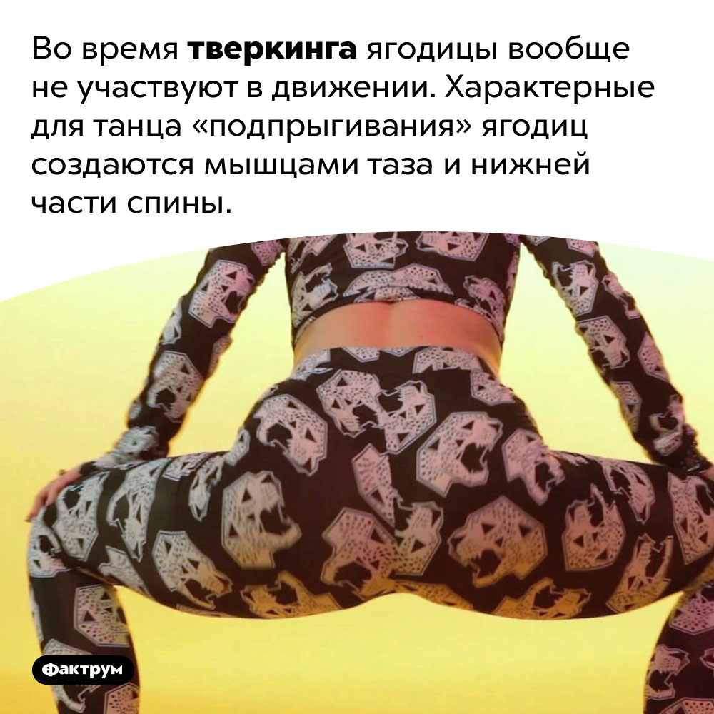 При тверкинге ягодицы не участвуют в движении. Во время тверкинга ягодицы вообще не участвуют в движении. Характерные для танца «подпрыгивания» ягодиц создаются мышцами таза и нижней части спины.