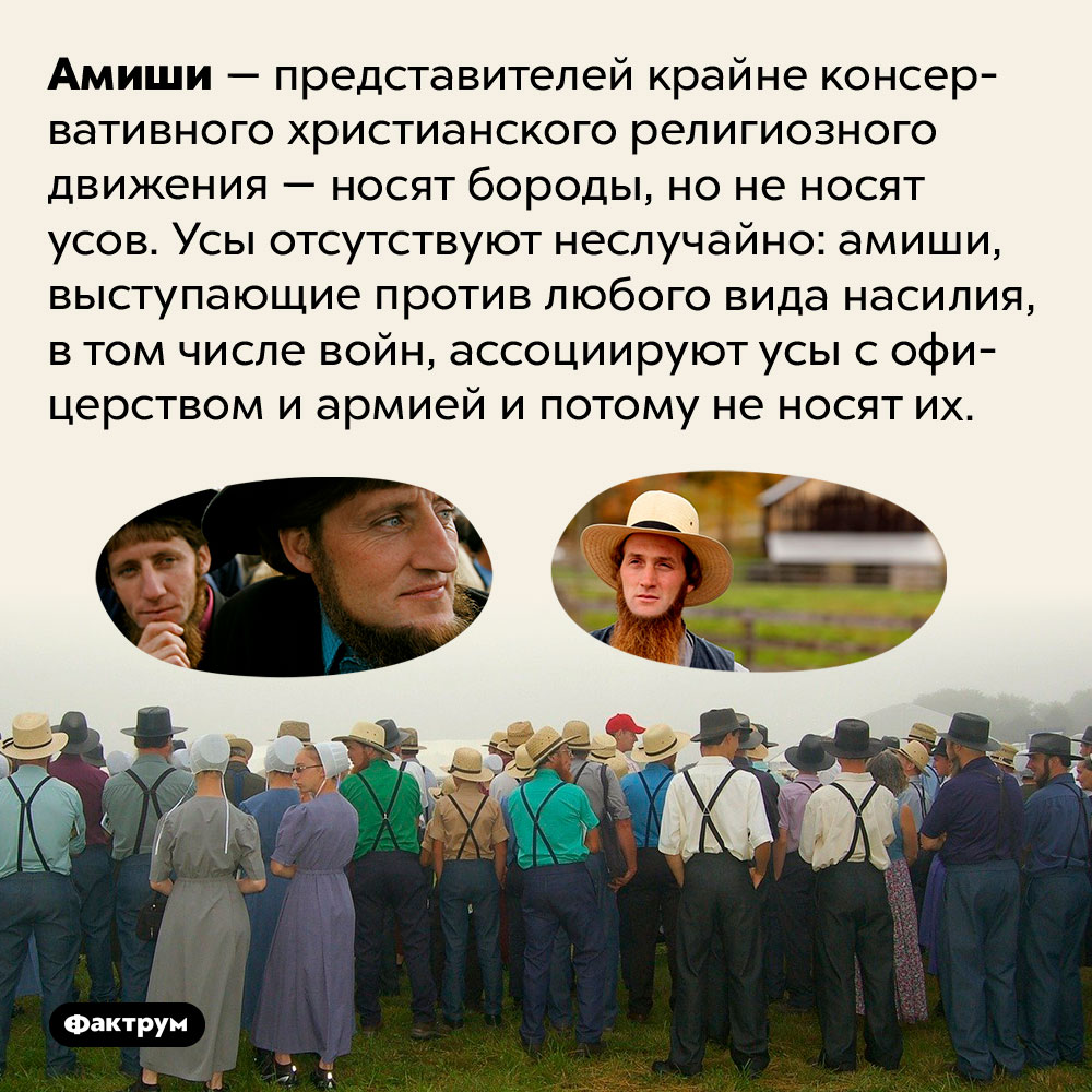 Амиши бреют усы за мир во всём мире. Амиши — представителей крайне консервативного христианского религиозного движения — носят бороды, но не носят усов. Усы отсутствуют неслучайно: амиши, выступающие против любого вида насилия, в том числе войн, ассоциируют усы с офицерством и армией и потому не носят их.