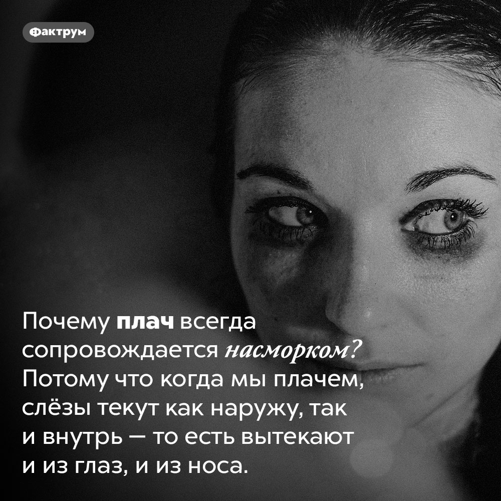 Когда мы плачем, слёзы вытекают и из глаз, и из носа. Почему плач всегда сопровождается насморком? Потому что когда мы плачем, слёзы текут как наружу, так и внутрь — то есть вытекают и из глаз, и из носа.
