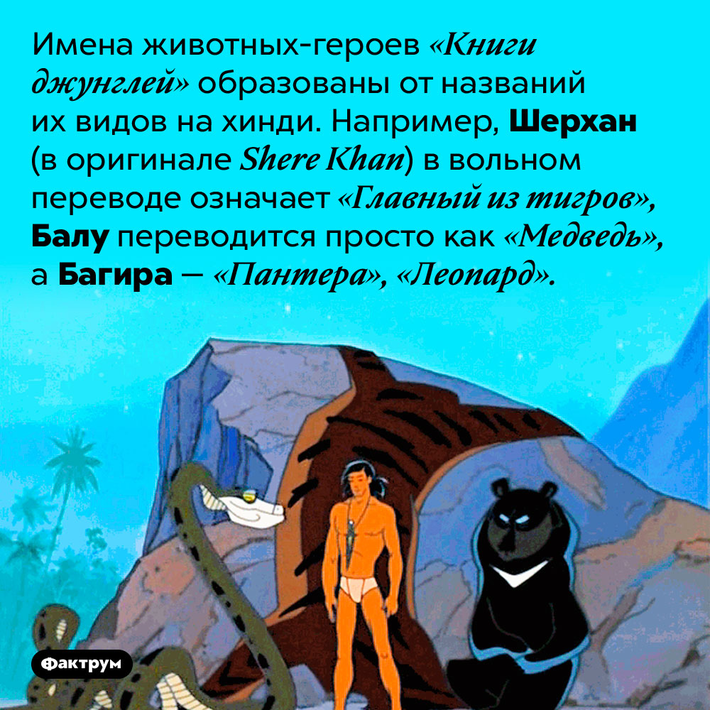 Имена животных из «Книги джунглей» — это просто названия их видов на хинди. Имена животных-героев «Книги джунглей» образованы от названий их видов на хинди. Например, Шерхан (в оригинале Shere Khan) в вольном переводе означает «Главный из тигров», Балу переводится просто как «Медведь», а Багира — «Пантера», «Леопард».