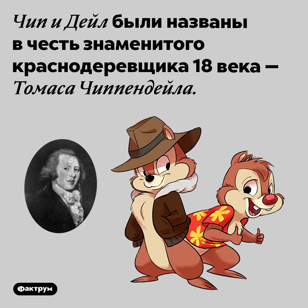 Чип и Дейл — это игра слов от фамилии Чиппендейл. Чип и Дейл были названы в честь знаменитого краснодеревщика 18 века — Томаса Чиппендейла.