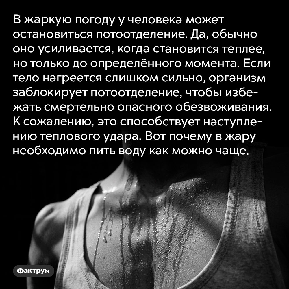 Организм может прекратить потеть, если становится слишком жарко. В жаркую погоду у человека может остановиться потоотделение. Да, обычно оно усиливается, когда становится теплее, но только до определённого момента. Если тело нагреется слишком сильно, организм заблокирует потоотделение, чтобы избежать смертельно опасного обезвоживания. К сожалению, это способствует наступлению теплового удара. Вот почему в жару необходимо пить воду как можно чаще.