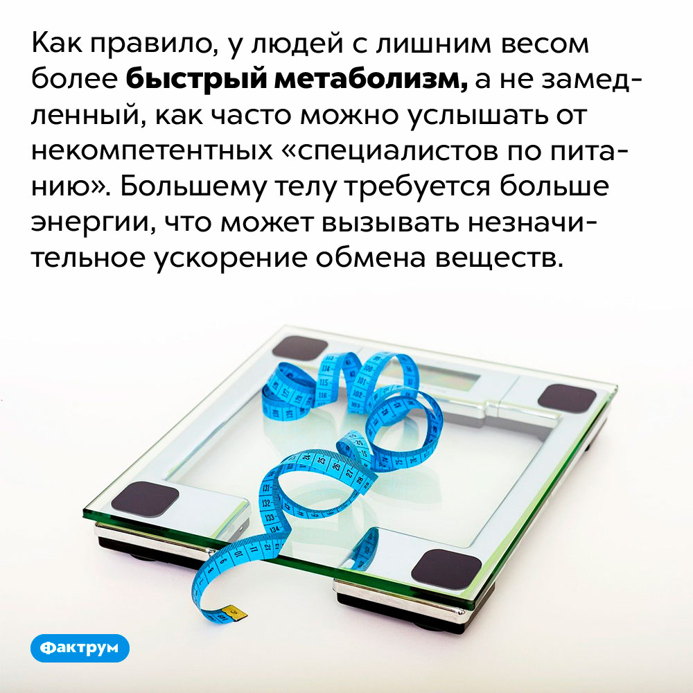 У людей с лишним весом метаболизм может быть немного повышен, но не понижен. Как правило, у людей с лишним весом более быстрый метаболизм, а не замедленный, как часто можно услышать от некомпетентных «специалистов по питанию». Большему телу требуется больше энергии, что может вызывать незначительное ускорение обмена веществ.