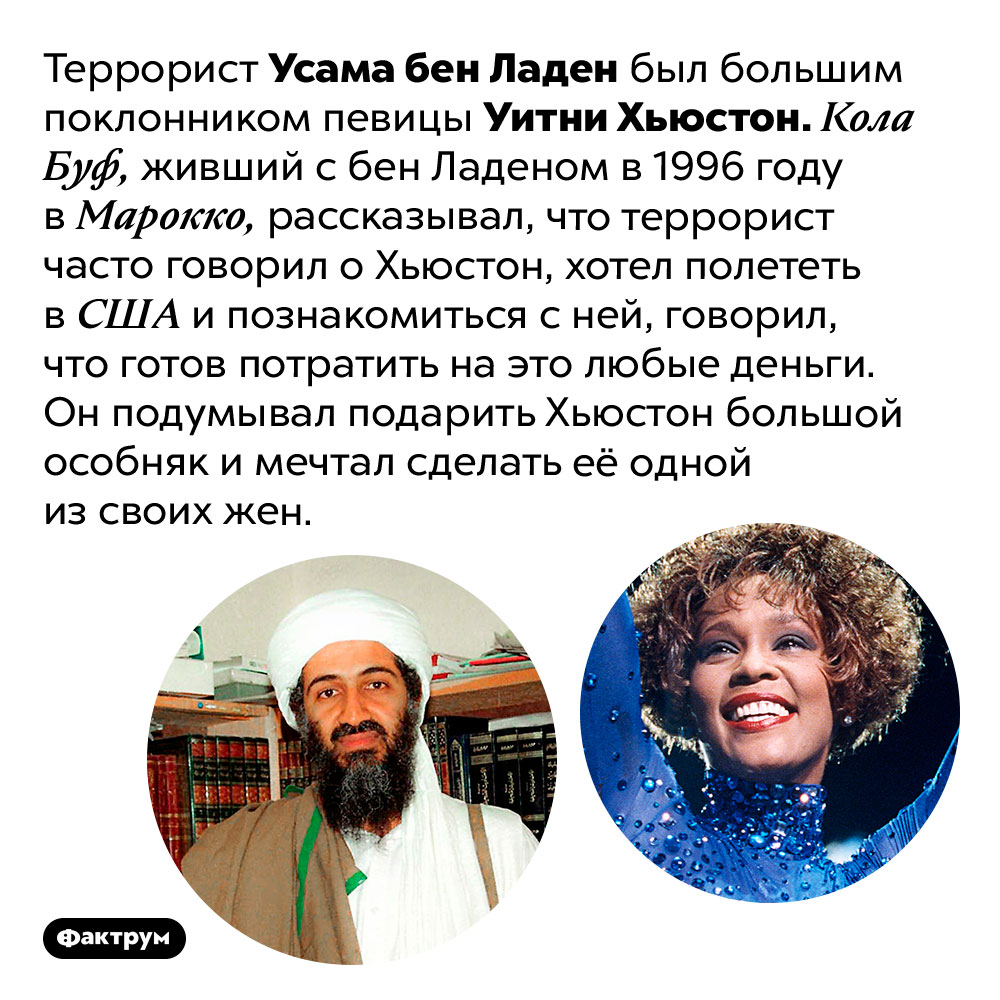 Усама бен Ладен был влюблён в Уитни Хьюстон. Террорист Усама бен Ладен был большим поклонником певицы Уитни Хьюстон. Кола Буф, живший с бен Ладеном в 1996 году в Марокко, рассказывал, что террорист часто говорил о Хьюстон, хотел полететь в США и познакомиться с ней, говорил, что готов потратить на это любые деньги. Он подумывал подарить Хьюстон большой особняк и мечтал сделать её одной из своих жен.