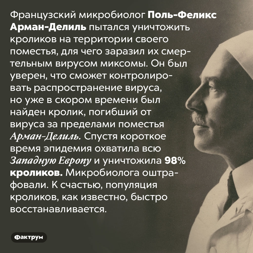 Французский микробиолог случайно истребил почти всех кроликов Западной Европы. Французский микробиолог Поль-Феликс Арман-Делиль пытался уничтожить кроликов на территории своего поместья, для чего заразил их смертельным вирусом миксомы. Он был уверен, что сможет контролировать распространение вируса, но уже в скором времени был найден кролик, погибший от вируса за пределами поместья Арман-Делиля. Спустя короткое время эпидемия охватила всю Западную Европу и уничтожила 98% кроликов. Микробиолога оштрафовали. К счастью, популяция кроликов, как известно, быстро восстанавливается.