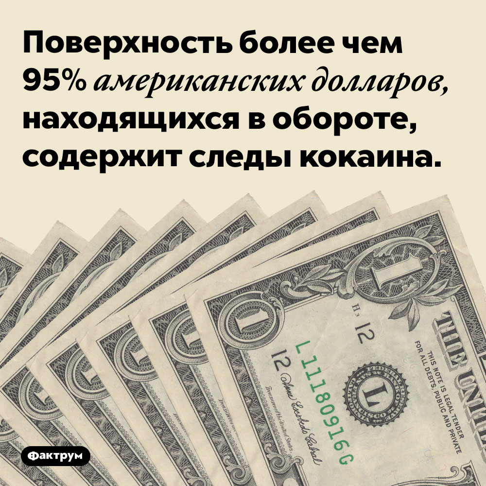 Доллары содержат кокаин. Поверхность более чем 95% американских долларов, находящихся в обороте, содержит следы кокаина.