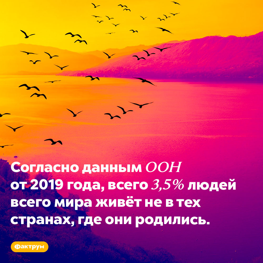 Всего 3,5% людей являются международными мигрантами. Согласно данным ООН от 2019 года, всего 3,5% людей всего мира живёт не в тех странах, где они родились.