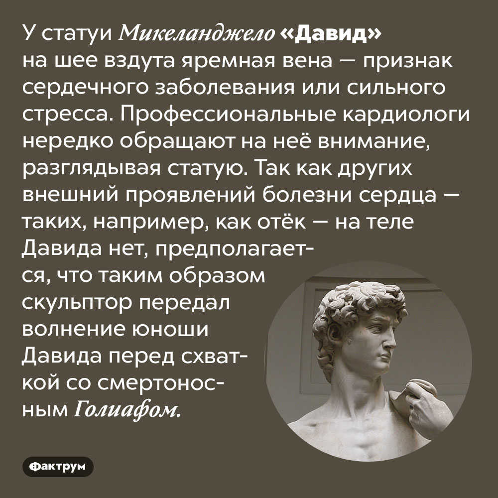 У статуи Давида вздута яремная вена. У статуи Микеланджело «Давид» на шее вздута яремная вена — признак сердечного заболевания или сильного стресса. Профессиональные кардиологи нередко обращают на неё внимание, разглядывая статую. Так как других внешний проявлений болезни сердца — таких, например, как отёк — на теле Давида нет, предполагается, что таким образом скульптор передал волнение юноши Давида перед схваткой со смертоносным Голиафом.