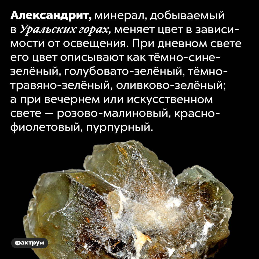 Александрит меняет цвет в зависимости от освещения. Александрит, минерал, добываемый в Уральских горах, меняет цвет в зависимости от освещения. При дневном свете его цвет описывают как тёмно-сине-зелёный, голубовато-зелёный, тёмно-травяно-зелёный, оливково-зелёный; а при вечернем или искусственном свете — розово-малиновый, красно-фиолетовый, пурпурный.
