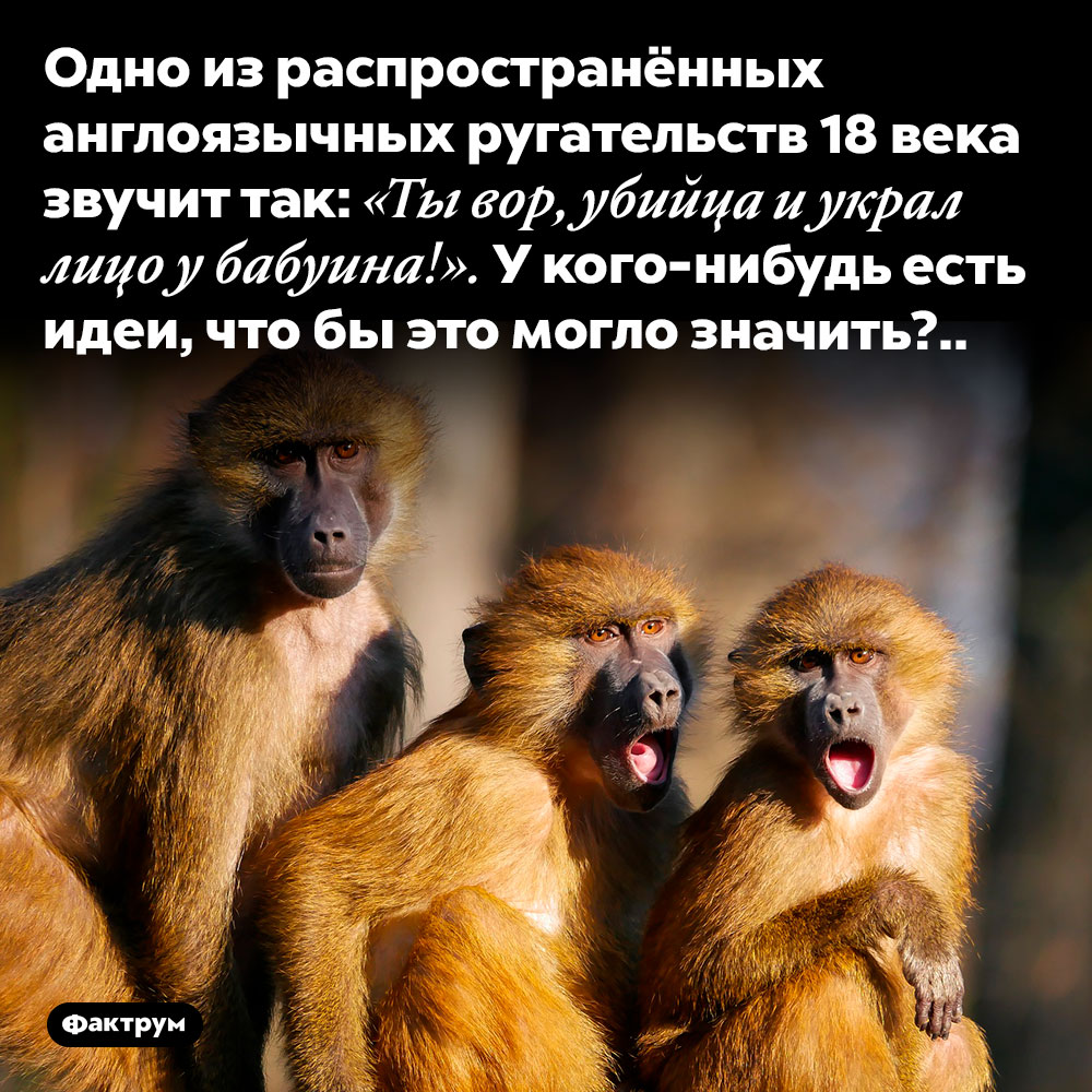 Странное ругательство 18 века. Одно из распространённых англоязычных ругательств 18 века звучит так: «Ты вор, убийца и украл лицо у бабуина!». У кого-нибудь есть идеи, что бы это могло значить?..