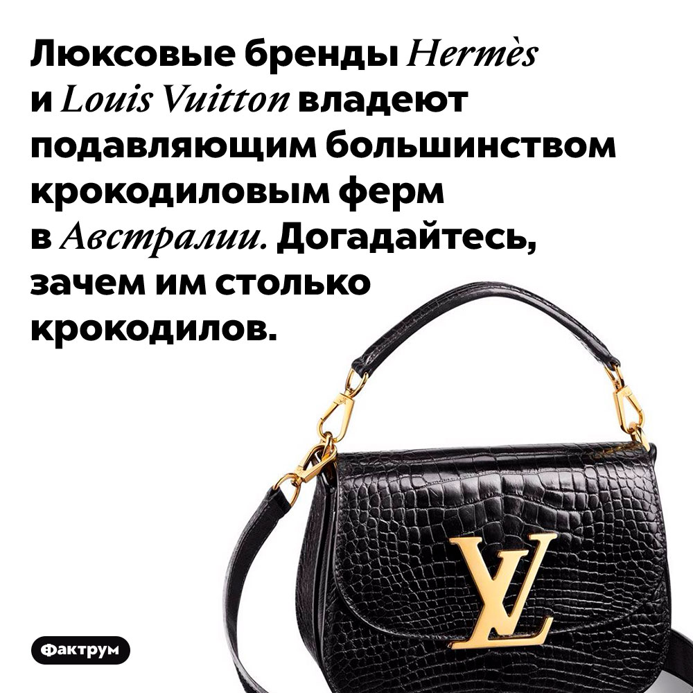 Hermès и Louis Vuitton принадлежат почти все крокодиловые фермы Австралии. Люксовые бренды Hermès и Louis Vuitton владеют подавляющим большинством крокодиловым ферм в Австралии. Догадайтесь, зачем им столько крокодилов.