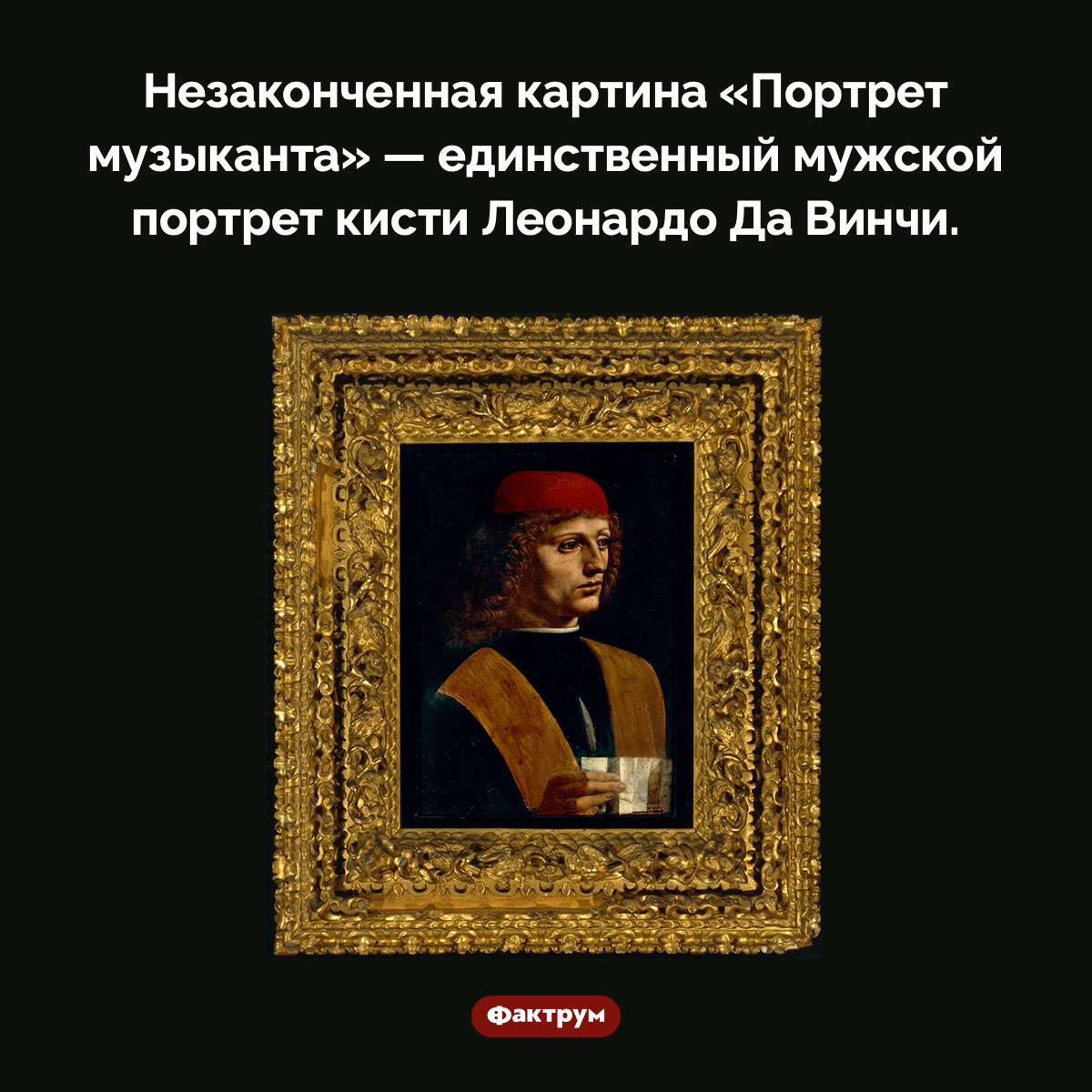 «Портрет музыканта» — единственный портрет мужчины, написанный Леонардо Да Винчи. Незаконченная картина «Портрет музыканта» — единственный мужской портрет кисти Леонардо Да Винчи.