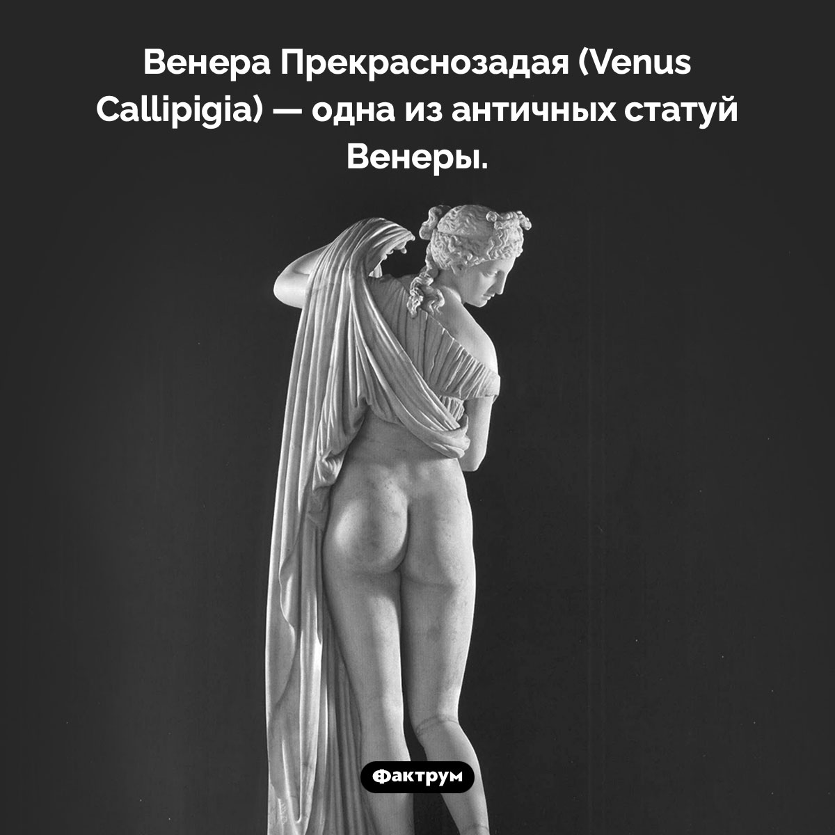 Венера Каллипига. Венера Прекраснозадая — одна из античных статуй Венеры.