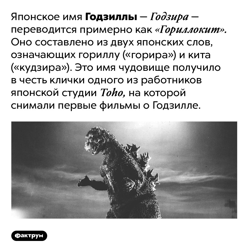 Имя Годзиллы переводится как «Гориллокит». Японское имя Годзиллы — Годзира — переводится примерно как «Гориллокит». Оно составлено из двух японских слов, означающих гориллу («горира») и кита («кудзира»). Это имя чудовище получило в честь клички одного из работников японской студии <em>Toho,</em> на которой снимали первые фильмы о Годзилле.