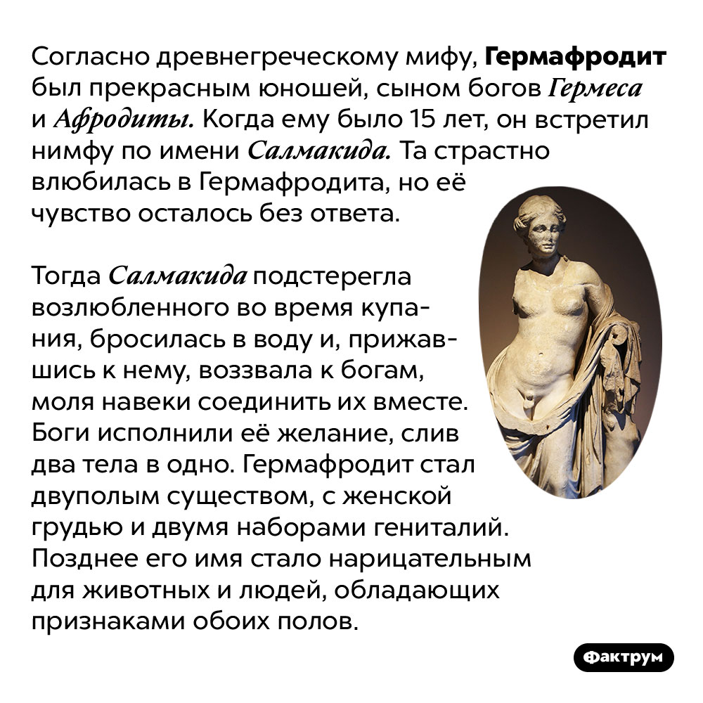 Кем был Гермафродит. Согласно древнегреческому мифу, Гермафродит был прекрасным юношей, сыном богов Гермеса и Афродиты. Когда ему было 15 лет, он встретил нимфу по имени Салмакида. Та страстно влюбилась в Гермафродита, но её чувство осталось без ответа.
Тогда Салмакида подстерегла возлюбленного во время купания, бросилась в воду и, прижавшись к нему, воззвала к богам, моля навеки соединить их вместе. Боги исполнили её желание, слив два тела в одно. Гермафродит стал двуполым существом, с женской грудью и двумя наборами гениталий. Позднее его имя стало нарицательным для животных и людей, обладающих признаками обоих полов.