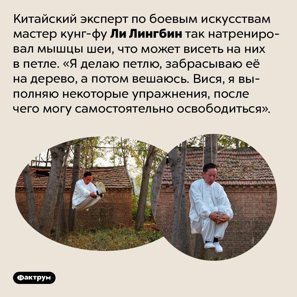 Человек, которому не страшна виселица. Китайский эксперт по боевым искусствам мастер кунг-фу Ли Лингбин так натренировал мышцы шеи, что может висеть на них в петле. «Я делаю петлю, забрасываю её на дерево, а потом вешаюсь. Вися, я выполняю некоторые упражнения, после чего могу самостоятельно освободиться».