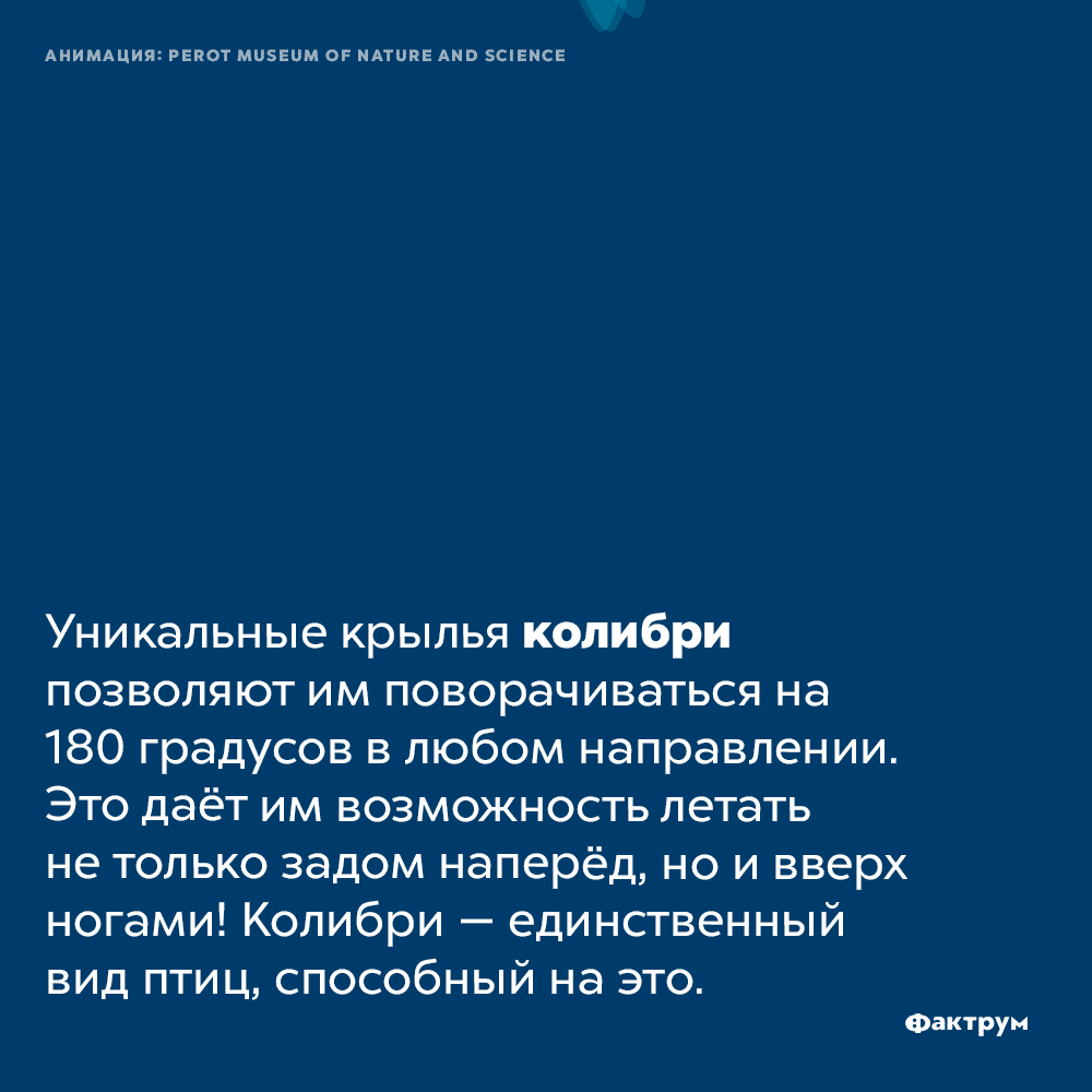 Фото Верх Ногами Фото Верх Ногами