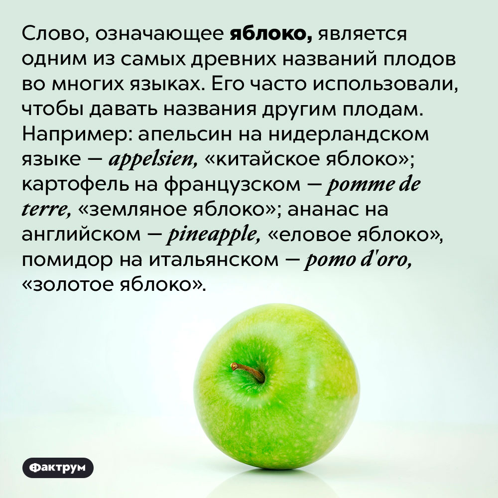 Слово, означающее яблоко, встречается в названиях многих других плодов. Слово, означающее яблоко, является одним из самых древних названий плодов во многих языках. Его часто использовали, чтобы давать названия другим плодам. Например: апельсин на нидерландском языке — <em>appelsien,</em> «китайское яблоко»; картофель на французском — <em>pomme de terre,</em> «земляное яблоко»; ананас на английском — <em>pineapple,</em> «еловое яблоко», помидор на итальянском — <em>pomo d'oro,</em> «золотое яблоко».