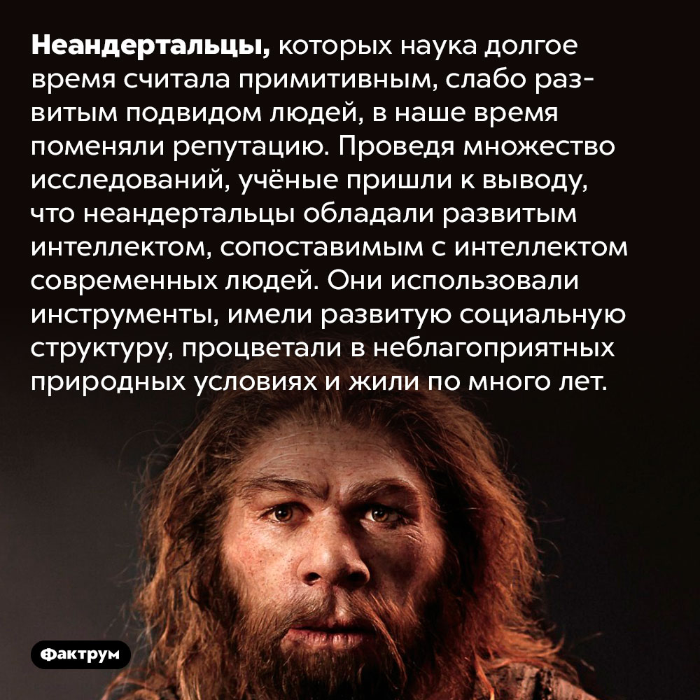 Неандертальцы не были примитивными. Неандертальцы, которых наука долгое время считала примитивным, слабо развитым подвидом людей, в наше время поменяли репутацию. Проведя множество исследований, учёные пришли к выводу, что неандертальцы обладали развитым интеллектом, сопоставимым с интеллектом современных людей. Они использовали инструменты, имели развитую социальную структуру, процветали в неблагоприятных природных условиях и жили по много лет.