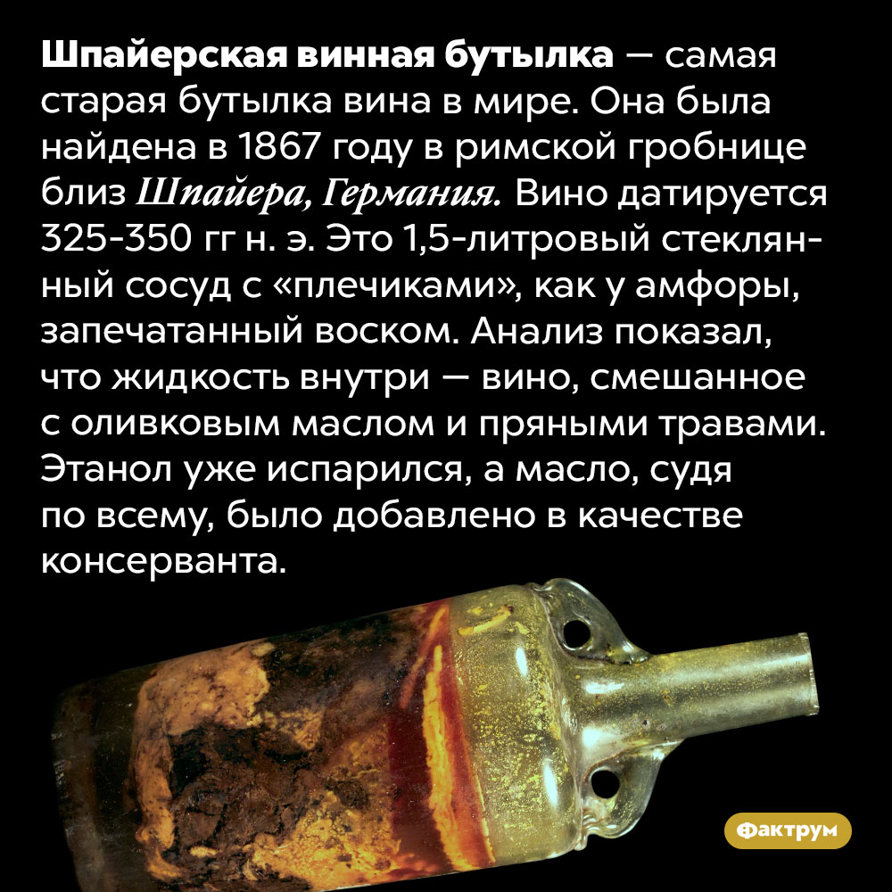 Самое древнее вино в мире