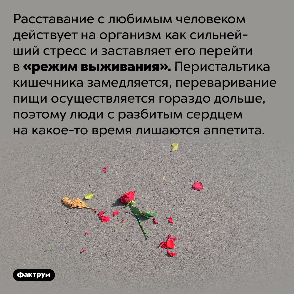 Картинки Про Расставание Со Смыслом