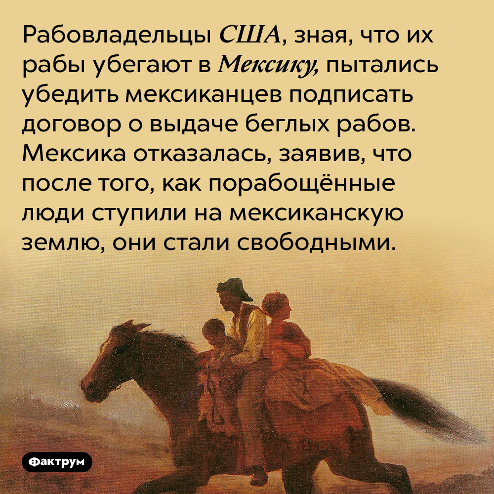 Интересные факты и картины