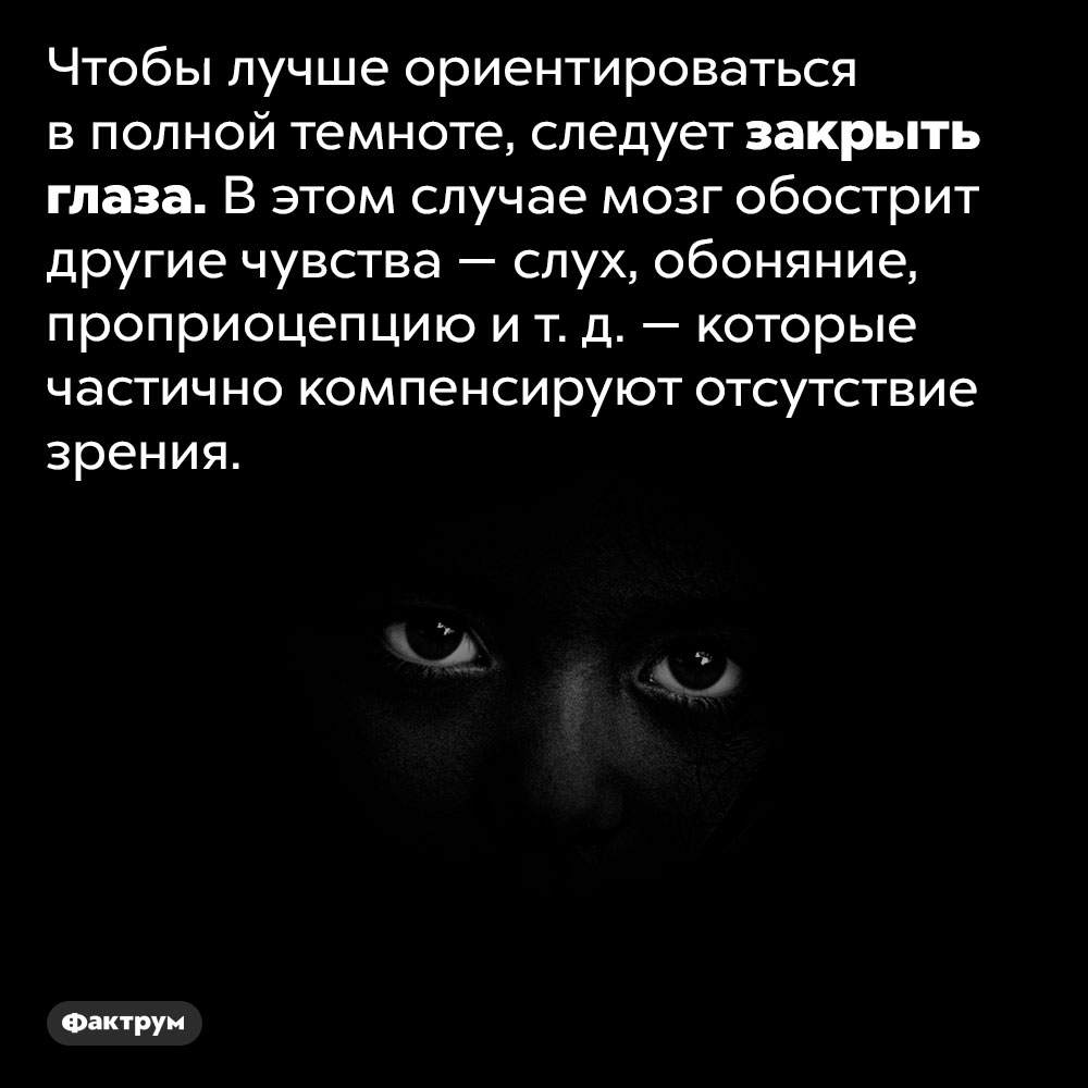 Почему темнота в глазах. Мне лучше в полной темноте. Как человек ориентируется в полной темноте. Как с помощью каких органов человек ориентируется в полной темноте. Сериалы про людей с обостренными чувствами (слух, зрение, память).
