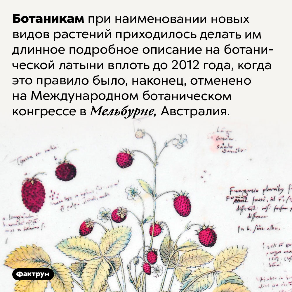До 2012 года ботаники пользовались латынью для описания новых видов растений. Ботаникам при наименовании новых видов растений приходилось делать им длинное подробное описание на ботанической латыни вплоть до 2012 года, когда это правило было, наконец, отменено на Международном ботаническом конгрессе в Мельбурне, Австралия.