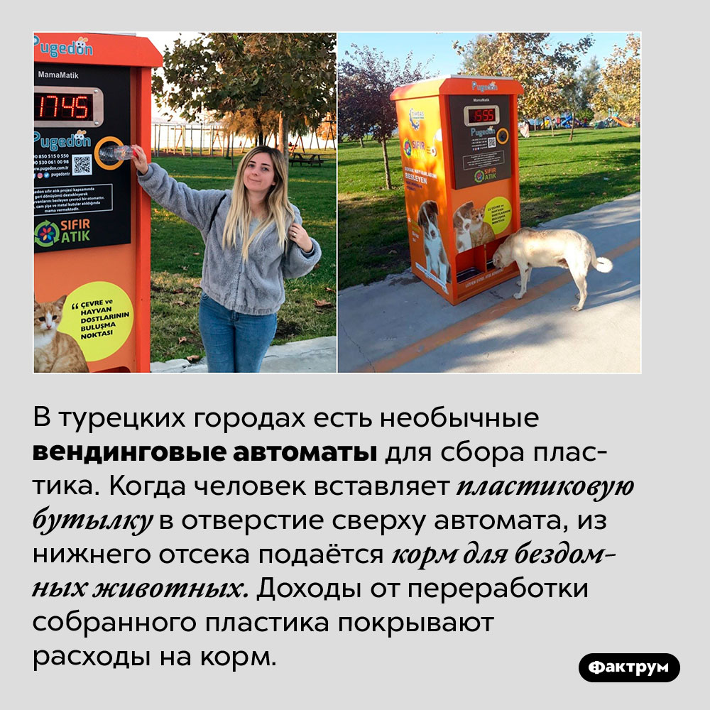 Одновременная помощь экологии и бездомным животным. В турецких городах есть необычные вендинговые автоматы для сбора пластика. Когда человек вставляет пластиковую бутылку в отверстие сверху автомата, из нижнего отсека подаётся корм для бездомных животных. Доходы от переработки собранного пластика покрывают расходы на корм.