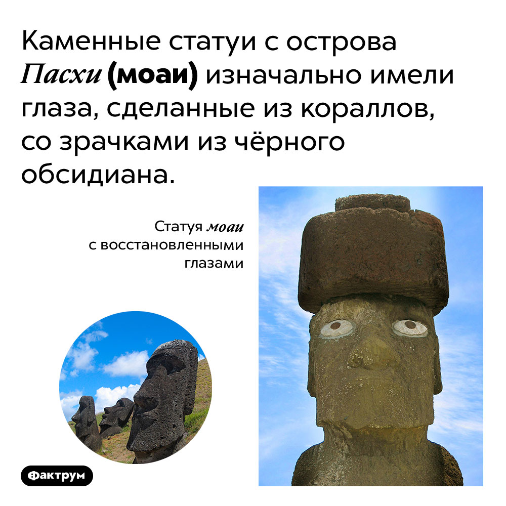 У моаи были глаза из кораллов. Каменные статуи с острова Пасхи (моаи) изначально имели глаза, сделанные из кораллов, со зрачками из чёрного обсидиана.