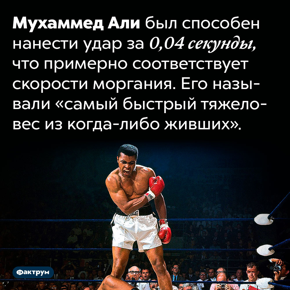 Самый быстрый тяжеловес из когда-либо живших. Мухаммед Али был способен нанести удар за 0,04 секунды, что примерно соответствует скорости моргания. Его называли «самый быстрый тяжеловес из когда-либо живших».
