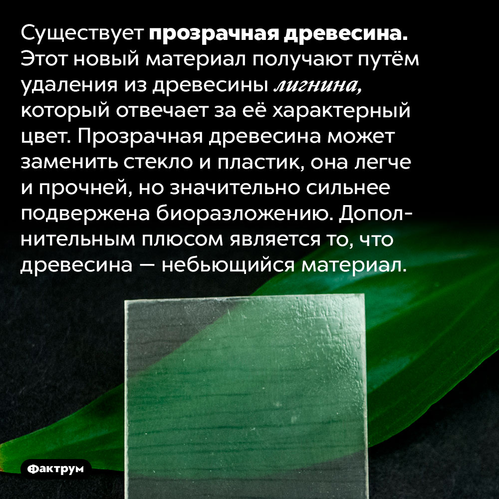 Существует прозрачная древесина. Существует прозрачная древесина. Этот новый материал получают путём удаления из древесины лигнина, который отвечает за её характерный цвет. Прозрачная древесина может заменить стекло и пластик, она легче и прочней, но значительно сильнее подвержена биоразложению. Дополнительным плюсом является то, что древесина — небьющийся материал.