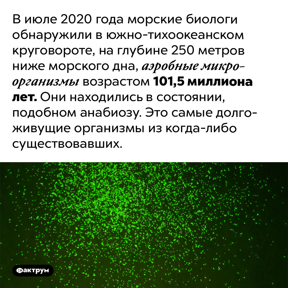 Самым долго живущим на Земле организмам 101,5 млн лет. В июле 2020 года морские биологи обнаружили в южно-тихоокеанском круговороте, на глубине 250 метров ниже морского дна, аэробные микроорганизмы возрастом 101,5 миллиона лет. Они находились в состоянии, подобном анабиозу. Это самые долгоживущие организмы из когда-либо существовавших.