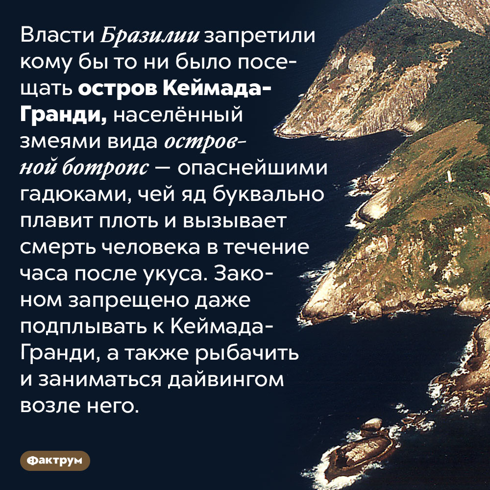 Остров, который кишит гадюками. Власти Бразилии запретили кому бы то ни было посещать остров Кеймада-Гранди, населённый змеями вида островной ботропс — опаснейшими гадюками, чей яд буквально плавит плоть и вызывает смерть человека в течение часа после укуса. Законом запрещено даже подплывать к Кеймада-Гранди, а также рыбачить и заниматься дайвингом возле него.