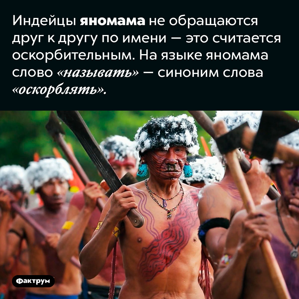 Почему яномама не называют друг друга по имени. Индейцы яномама не обращаются друг к другу по имени — это считается оскорбительным. На языке яномама слово «называть» — синоним слова «оскорблять».