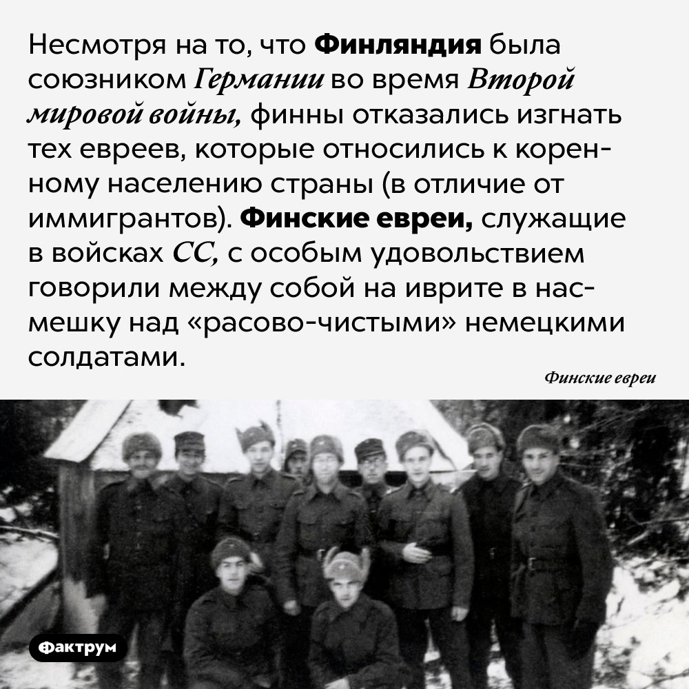 Финские евреи служили в войсках СС. Несмотря на то, что Финляндия была союзником Германии во время Второй мировой войны, финны отказались изгнать тех евреев, которые относились к коренному населению страны (в отличие от иммигрантов). Финские евреи, служащие в войсках СС, с особым удовольствием говорили между собой на иврите в насмешку над «расово-чистыми» немецкими солдатами.
