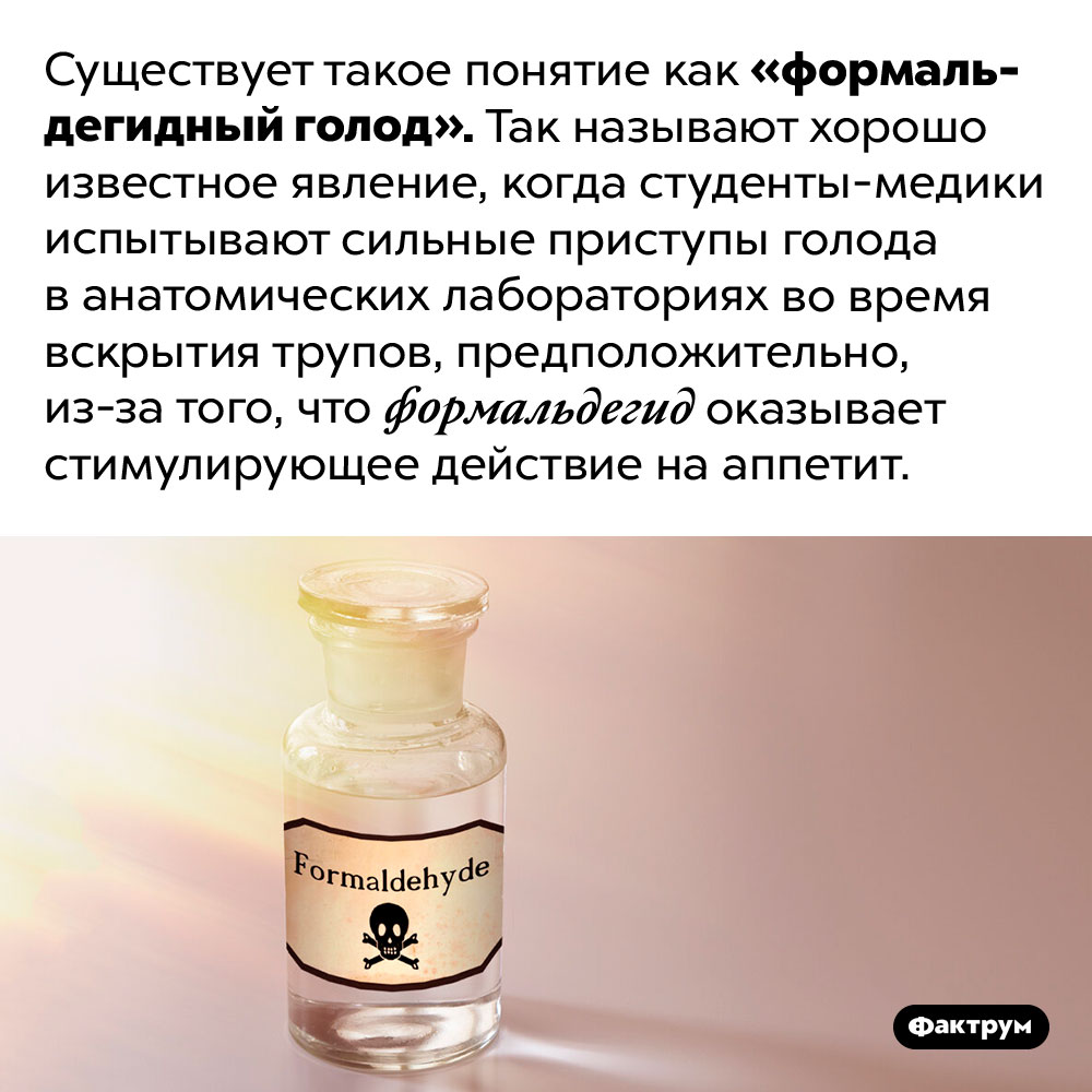 Что такое «формальдегидный голод». Существует такое понятие как «формальдегидный голод». Так называют хорошо известное явление, когда студенты-медики испытывают сильные приступы голода в анатомических лабораториях во время вскрытия трупов, предположительно, из-за того, что формальдегид оказывает стимулирующее действие на аппетит.
