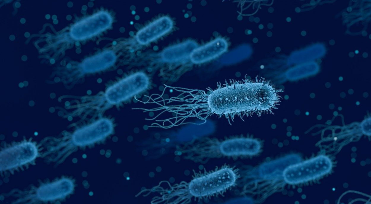6 объективных причин не бояться микробов