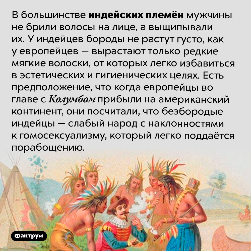 Индейцы не брили волосы на лице, а выщипывали. В большинстве индейских племён мужчины не брили волосы на лице, а выщипывали их. У индейцев бороды не растут густо, как у европейцев — вырастают только редкие мягкие волоски, от которых легко избавиться в эстетических и гигиенических целях. Есть предположение, что когда европейцы во главе с Колумбом прибыли на американский континент, они посчитали, что безбородые индейцы — слабый народ с наклонностями к гомосексуализму, который легко поддаётся порабощению.